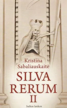 Kristina Sabaliauskaitė Silva rerum II обложка книги