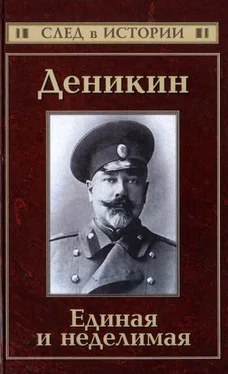 Сергей Кисин Деникин. Единая и неделимая обложка книги