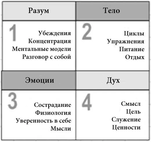 Количество качество концентрация и сила вашей энергии Вы можете лучше - фото 10