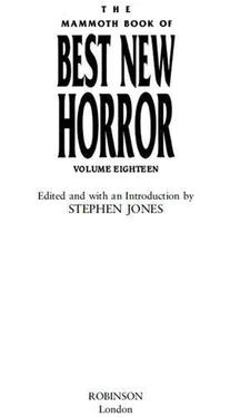 Stephen (ed.) The Mammoth Book of Best New Horror 18 обложка книги