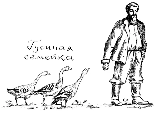 Если канарейка вылетит из клетки в нашей квартире мы воскликнем Скорее - фото 16