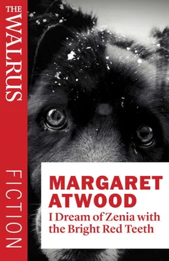 Margaret Atwood I Dream of Zenia with the Bright Red Teeth обложка книги