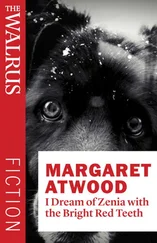 Margaret Atwood - I Dream of Zenia with the Bright Red Teeth