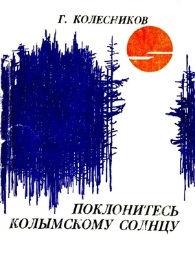Гавриил Колесников Поклонитесь колымскому солнцу обложка книги