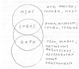 Схема показывает центры духовной душевной и физической сущности в человеческом - фото 13