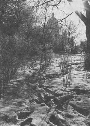 Чёрнобелая фотография переживающая в наши дни не лучшие времена даёт - фото 32