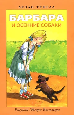 Леэло Тунгал Барбара и осенние собаки обложка книги