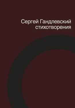 Сергей Гандлевский Стихотворения обложка книги