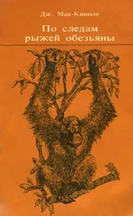 Джон Мак-Киннон - По следам рыжей обезьяны