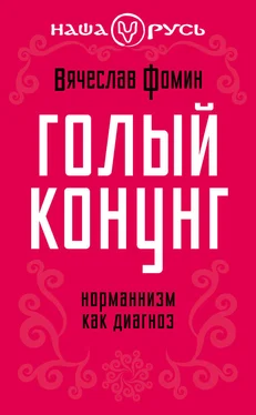 Вячеслав Фомин Голый конунг. Норманнизм как диагноз обложка книги