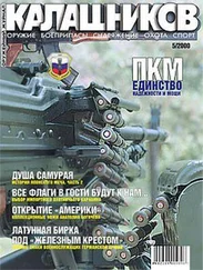 Михаил Сильников - Воздушный удар