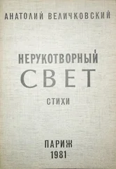 Анатолий Величковский - Нерукотворный свет