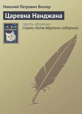 Николай Вагнер Царевна Нанджана обложка книги