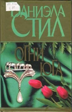 Даниэла Стил Огни Юга обложка книги