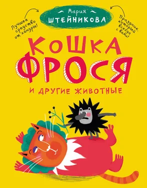 Мария Штейникова Кошка Фрося и другие животные (сборник) обложка книги