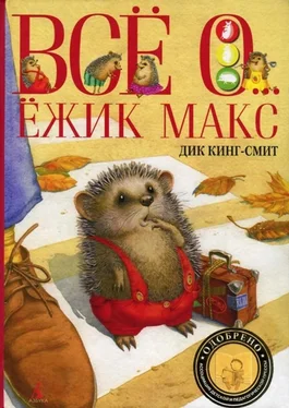 Дик Кинг-Смит Ёжик Макс обложка книги