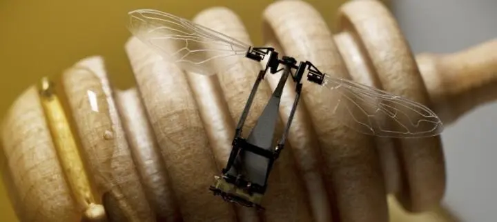Один из вариантов RoboBee из семейства сверхминиатюрных дронов над которым - фото 63