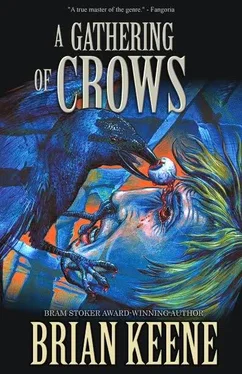 Keene Brian A Gathering of Crows обложка книги