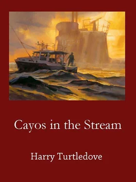 Harry Turtledove Cayos in the Stream обложка книги