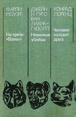 Джейн Лавик-Гудолл Невинные убийцы обложка книги