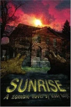 Kody Boye Sunrise обложка книги