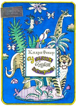 Клара Фехер У меня будет остров! обложка книги