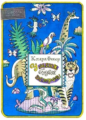 Клара Фехер - У меня будет остров!