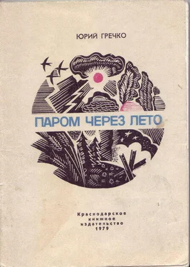 Юрий Гречко Паром через лето обложка книги