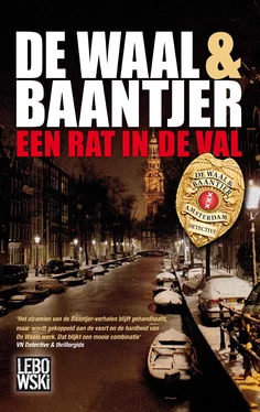 Albert Baantjer Een rat in de val обложка книги