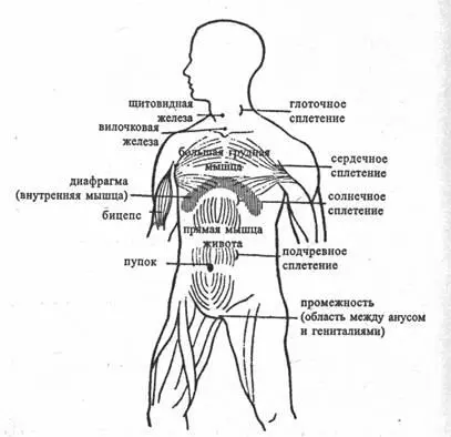 Йога в десяти уроках - фото 2