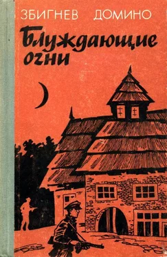 Збигнев Домино Блуждающие огни обложка книги