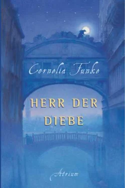 Cornelia Funke Herr der Diebe обложка книги