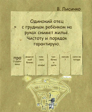 Валерия Лисичко Одинокий отец с грудным ребенком на руках снимет жилье. Чистоту и порядок гарантирую обложка книги