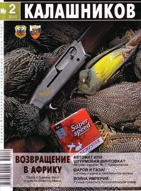 Юрий Пономарёв Автомат или штурмовая винтовка? обложка книги