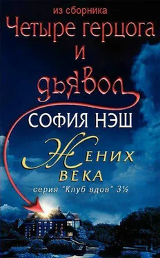 София Нэш Жених века обложка книги