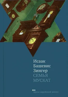 Исаак Башевис-Зингер Семья Мускат обложка книги