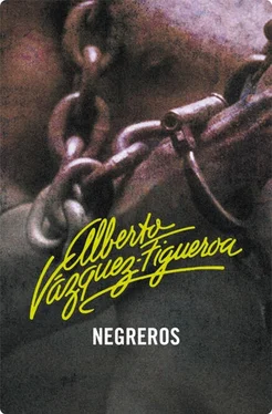 Alberto Vázquez-Figueroa Negreros обложка книги