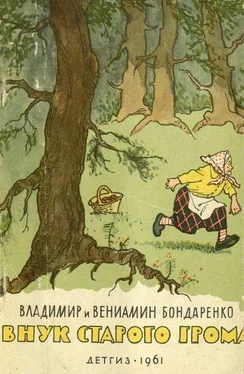 Владимир Бондаренко Внук старого Грома обложка книги