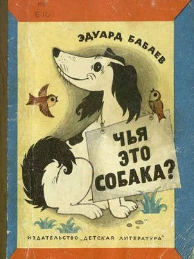 Эдуард Бабаев Чья это собака? обложка книги