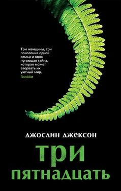 Джослин Джексон Три пятнадцать обложка книги