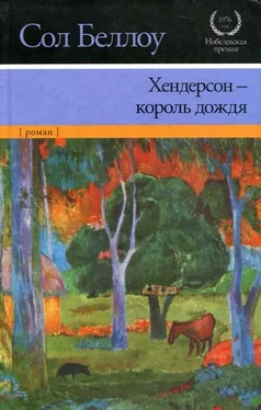 Сол Беллоу Хендерсон — король дождя обложка книги