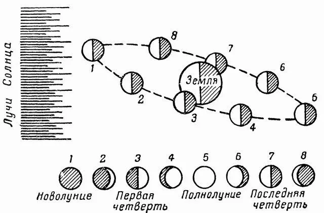 Рис 7 Фазы Луны Когда Луна находится между Солнцем и Землей к нам обращена - фото 7