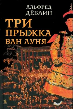 Альфред Дёблин Три прыжка Ван Луня. Китайский роман обложка книги