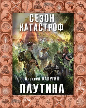 Алексей Калугин Паутина обложка книги