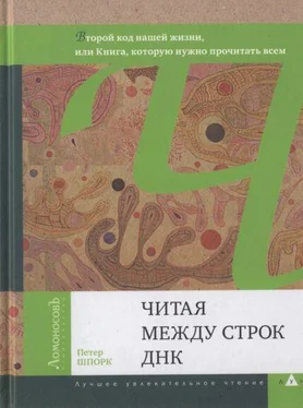 Петер Шпорк Читая между строк ДНК. Второй код нашей жизни, или Книга, которую нужно прочитать всем обложка книги