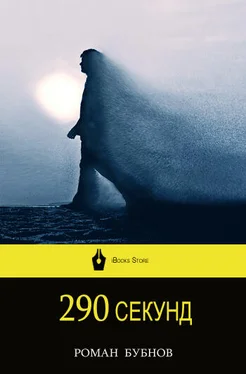 Роман Бубнов 290 секунд обложка книги