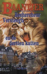 Albert Baantjer - Rechercheur Versteegh en de dertien katten