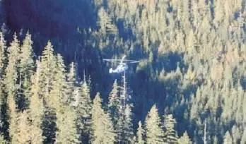 Надежность Вертолеты Ка32А11ВС работают в Канаде по весьма плотному графику - фото 60