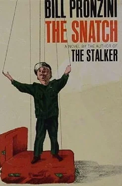 Bill Pronzini The Snatch обложка книги