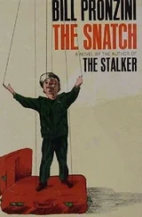Bill Pronzini - The Snatch